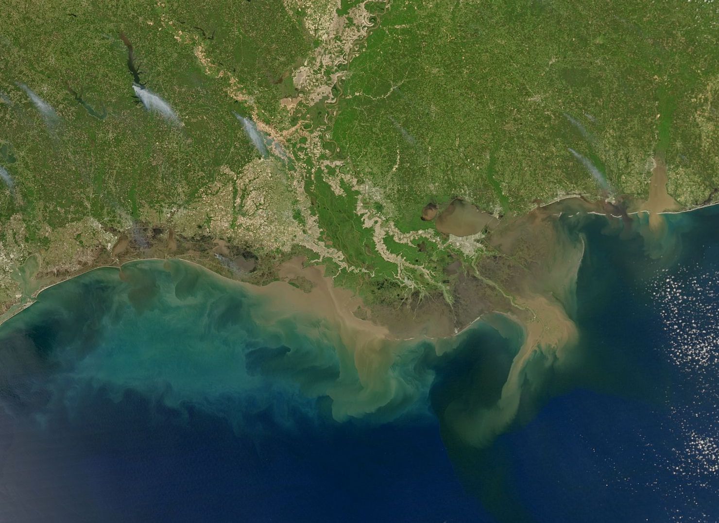 A satellite image of the Gulf of Mexico showing sediment building up in the water around the mouths of the Mississippi and Atchafayala rivers.